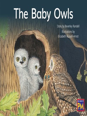 cover image of The Baby Owls